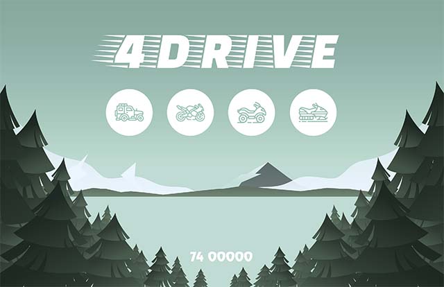 4DRIVE card